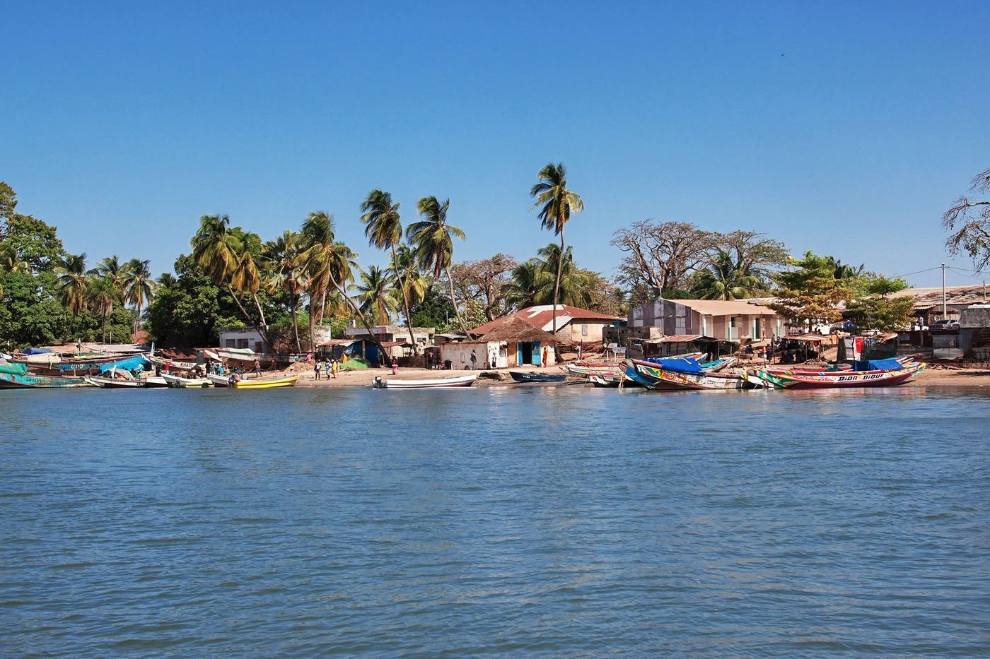 Snorkeling barracudas Diembéring Cap Skirring Casamance